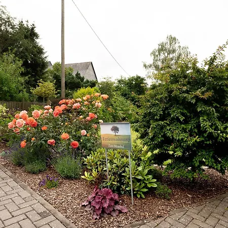 'zum Moseltal' Apartment *